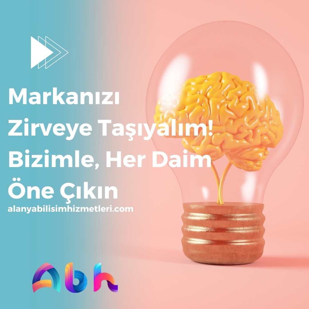 Alanya'da yazılım desteği